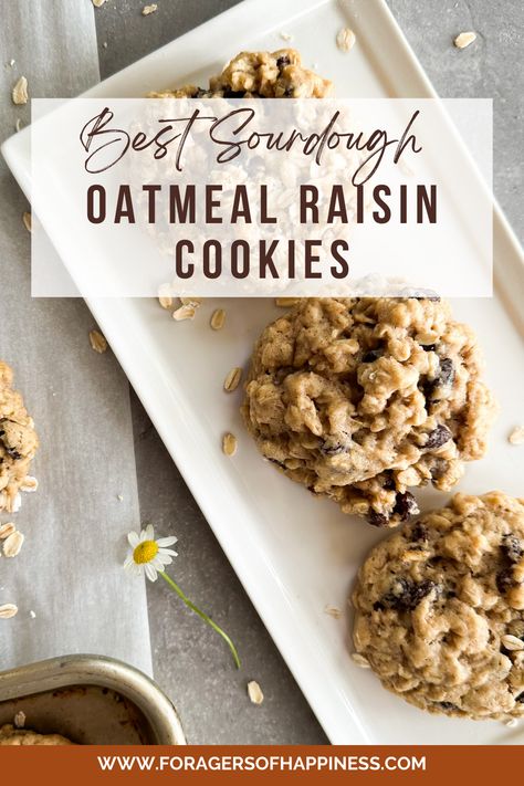 Discard Oatmeal Raisin Cookies, Sourdough Discard Cookies Healthy, Discard Oatmeal Cookies, Christmas Cookies Sourdough, Sourdough Discard Oatmeal Raisin Cookies, Oatmeal Sourdough Cookies, Sour Dough Cookies Recipes, Sourdough Oatmeal Raisin Cookies, Sourdough Discard Oatmeal Cookies