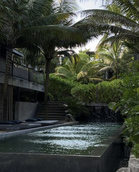 in awe Dark Tropical, Coastal Interiors Design, Tropical Pool, Dark Green Aesthetic, Modern Landscape Design, Future Apartment Decor, House In Nature, Tropical House, Cozy Room Decor