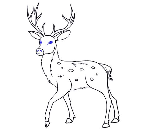 How to Draw Deer: Step 19 Deer Drawing Easy, Draw A Deer, Deer Outline, Sketch Head, Deer Sketch, Deer Coloring Pages, Image Drawing, Outline Pictures, Deer Drawing