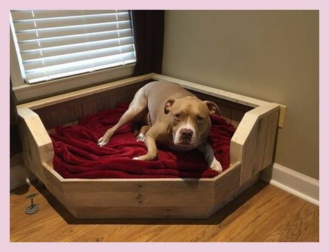 [Promotion] Pallet Dog Bed / Corner Fit / Handcrafted Dog Bed / Corner Dog Bed #cornerdogbedsforlargedogs Dog Bed Corner, Corner Dog Bed, Rustic Dog Beds, Pallet Dog Bed, Pet Tricks, Bed Corner, Wood Dog Bed, Wooden Dog Bed, Pallet Dog Beds