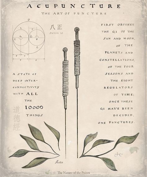 Chinese Medicine Tattoo, 5 Elements Chinese Medicine, Acupuncturist Aesthetic, Acupuncture Logo Design, Acupuncture Office Design, Acupuncture Benefits Facts, Acupuncture Photography, Apothecary Altar, Acupuncture Aesthetic