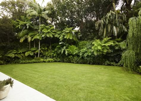 Australian Landscape Architecture, Landscape Ideas Tropical, Office Landscape Design, Backyard Trees Landscaping, Garden Design Tropical, Villa Landscape Design, Palm Springs Landscaping, Tropical Landscape Design, Jungle Gardens