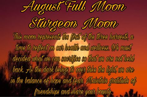 Super Sturgeon Moon, Sturgeon Full Moon, August Full Moon, August Full Moon 2023, Witchcraft Candle Magic, Full Moon Spells, Moon Zodiac, Sturgeon Moon, Moon In Aquarius