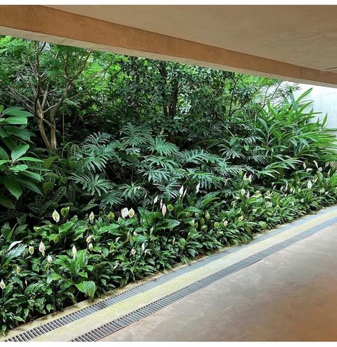 Landscape Library, Samet Nangshe, Tropical Pool Landscaping, Tropical Garden Design, Jungle Gardens, Tropical Pool, Apartment Terrace, Garden Park, Spanish House