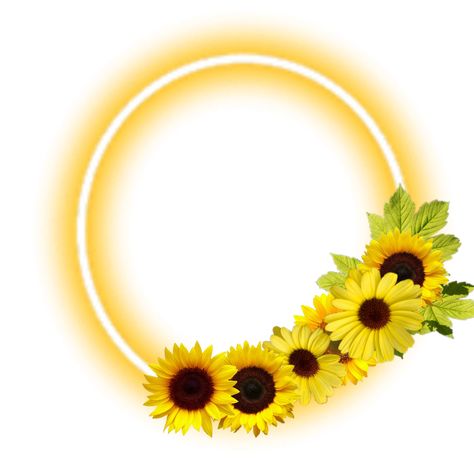 Flower Cake Topper Printable, Sunflower Cake Topper Printable, Sunflower Logo Design Ideas, Sunflower Boarder Design, Sunflower Cake Topper, Yellow Flower Cake, Sunflower Circle Frame, Sunflower Png Transparent, Drawing In Circle