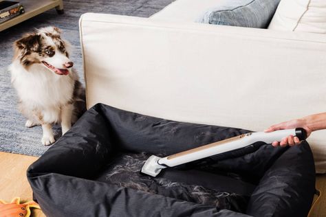 This Ultra-Powerful, 3-in-1 Vacuum Keeps My Floors Pet-Hair Free (and Makes Cleaning SO Convenient!) https://www.thekitchn.com/shark-wandvac-cordless-stick-vacuum-review-23465039?utm_source=RSS&utm_medium=feed&utm_campaign=Category%2FChannel%3A+main #splendidum.com #recipes Pet Hair Vacuum, Vacuum Reviews, Shark Vacuum, Hand Vacuum, All The Small Things, Dog Shedding, The Shark, Old Hands, Sleek Style