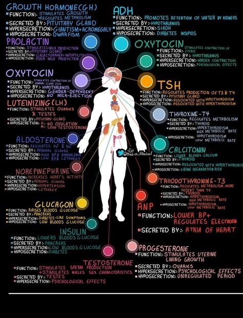 Punkty Spustowe, Biochemistry Notes, Clinical Chemistry, Portret Feminin, Nursing School Essential, Basic Anatomy, Nurse Study, Medical School Life, Nursing School Motivation