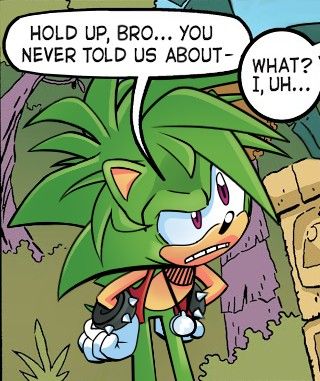 Oh my gosh it's manic Manic The Hedgehog, Sonic Underground, Princesas Disney Anime, Game Sonic, Sonic Heroes, Nintendo Characters, Sonic Fan Characters, Sonic Shadow, Sonic Franchise