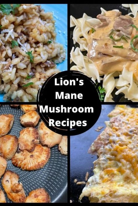 A collection of Lion's Mane Mushroom recipes - Risotto, mushroom cream sauce over egg noodles, sautéed mushrooms, and a mushroom, ham and cheese omelet. Lion Mane Mushroom, Fresh Mushrooms Recipes, Risotto Mushroom, Lions Mane Mushroom Recipe, Mushroom Recipes Vegan, Lion's Mane Mushroom, Mushroom Appetizers, Cheese Omelet, Sautéed Mushrooms