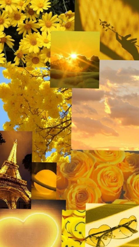 Yellow Everything, Yellow Asthetic Wallper, Yellow Vibes Aesthetic, Yellow Wallpaper Collage, Cute Yellow Wallpaper Aesthetic, Sunshine Aesthetic Wallpaper, Yellow Background Wallpapers, Yellow Phone Wallpaper, Yellow Aesthetic Background