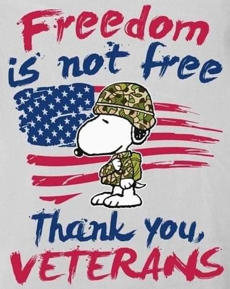 Happy Veterans Day Images Snoopy, Snoopy Veterans Day Quotes, Snoopy Veterans Day, Snoopy Memorial Day, Holiday Snoopy, Snoopy Holidays, Happy July 4th Images, Peanut Pictures, Snoopy Holiday