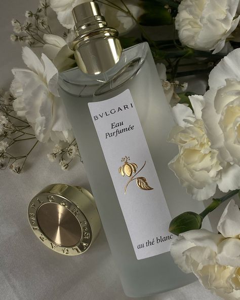 Display Perfume, Bvlgari Perfume, Koleksi Parfum, Fragrance Lab, Perfume Display, Fragrances Perfume Woman, Perfume Body Spray, Perfume Collection Fragrance, Perfume Store