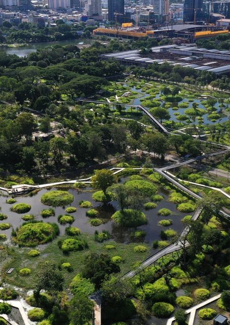 Gallery of Benjakitti Forest Park / Arsomslip Community and Environmental Architect - 2 Salmon Habitat, Urban Forest Design, Wetland Landscape, Green Parking, Wetland Park, Healing Garden, Urban Forest, Water Day, Tree Canopy