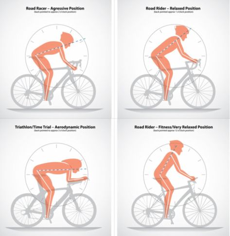 Bike Infographic, Freetime Activities, Riding A Bicycle, Bike Poster, Cycling Tips, Road Bike Women, I Want To Ride My Bicycle, Road Bike Cycling, Bicycle Art