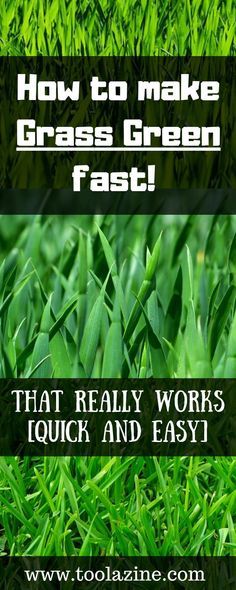 How to make grass green fast [Quick and Easy] If you have a lawn, and most people do, it looks best when it is a lush green color. It looks more appealing and can improve the whole feel of your garden. The good news is that you can make your grass greener fast. In just a few days you can see a noticeable difference in the color of your lawn. How To Aerate Your Lawn Diy, Diy Grass Fertilizer Green Lawn, Grow Grass Fast, Garden Maintenance Schedule, Lawn Makeover, Grass Fertilizer, Lawn Repair, Growing Grass, Diy Lawn