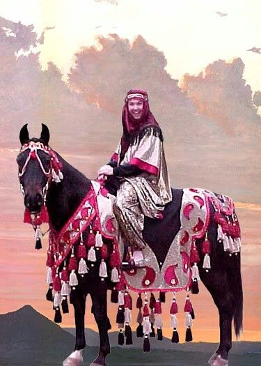 Arabian costume Arabian Outfit, Arabian Costumes, Arabian Horse Costume, Native Costume, Arabian Costume, Horse Costume, Arabian Dress, Costume Making, Horse Show Clothes