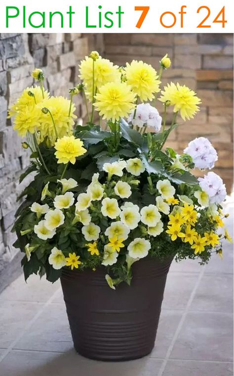 24 designer plant lists for beautiful container gardens & colorful mixed flower pots combinations: great patio planting ideas & backyard landscape designs! – A Piece of Rainbow #backyard #gardens #gardening #gardeningtips #urbangardening #gardendesign #gardenideas #containergardening #diy #summer #spring #porch #patiodesigns #patio #curbappeal Mixed Flower Pots, Patio Flower Pots, Patio Flowers, Colorful Planters, Container Garden Design, Flower Pot Design, Container Gardening Flowers, Meteor Garden 2018, Flower Pots Outdoor