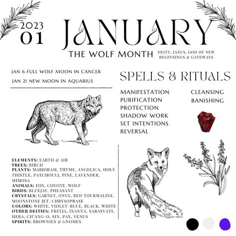 This Ultimate Witch Planner is a grimoire or book of shadows cheatsheet planner so you know which herbs & plants, elements, deities, animals & birds, astrological signs, planets, and lunar phases to attune your witchcraft to--- EVERY SINGLE DAY! Witchcraft Calendar, January Witchcraft, Witchy Calander 2023, Deities Witchcraft, Wolf Moon Ritual 2024, January Magick, Magic Correspondences, Zodiac Grimoire Page, Month Magical Correspondences