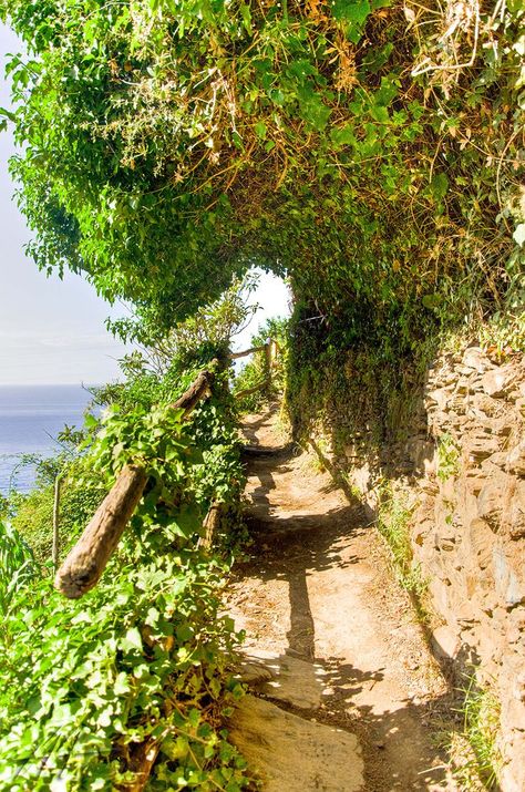 My inner landscape : Photo Cinque Terre Hike, Italian Rivera, Manarola Italy, Inner Landscape, Country Italy, Europe Italy, Italian Holiday, Cinque Terre Italy, Italy Holidays