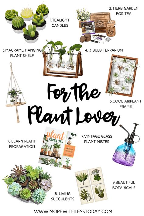 Plant Related Gifts, Plant Lover Home Decor, Plant Lovers Gifts, Gifting A Plant Ideas, Presents For Plant Lovers, Cute Plant Gifts, Present For Plant Lover, Plants To Gift Someone, Plants To Give As Gifts