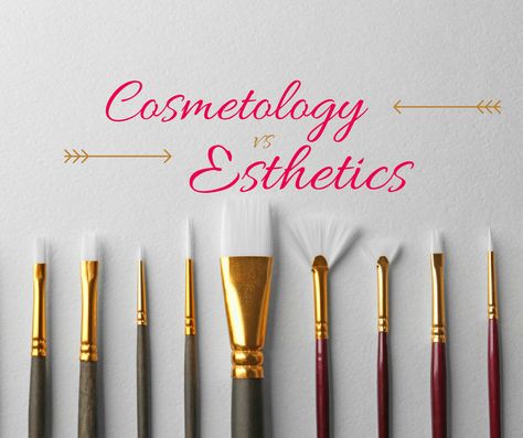 Ever wondered about the difference between a Cosmetologist and an Esthetician? Find Out --->> http://www.evergreenbeauty.edu/cosmetology-2/whats-the-difference-between-a-cosmetologist-and-an-esthetician/ #EvergreenBeautyCollege #Cosmetology #Esthetics Cosmetology Esthetics, Master Esthetician, Hair Facts, Beauty Careers, College Beauty, Cosmetology School, Achieve Your Dreams, Career Options, Healthy Routine