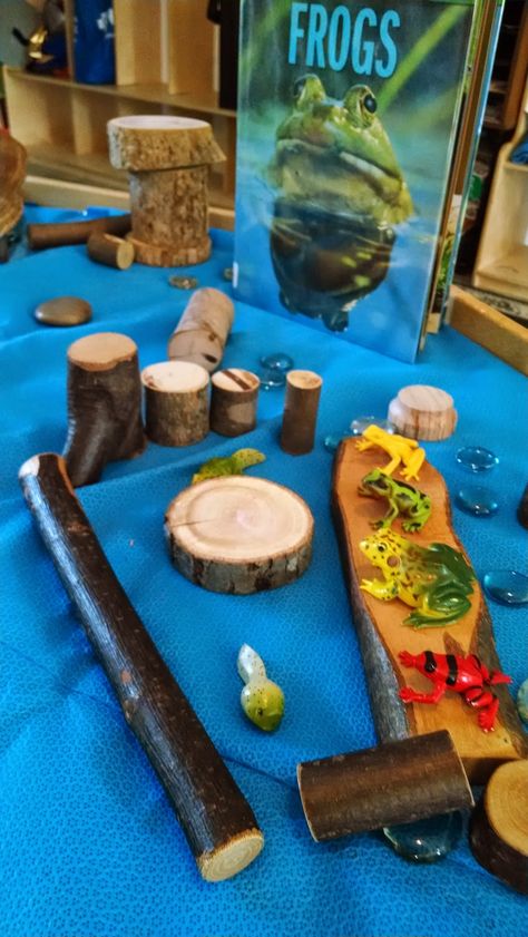 Frogs and logs - from Growing Inch By Inch (",) Frog Provocation, Frogs Eyfs, 5 Speckled Frogs, Pond Activities, Pond Life Theme, 5 Little Speckled Frogs, Frogs Preschool, Preschool Jungle, Oviparous Animals