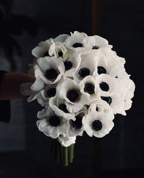 White And Black Wedding Flowers, Black And White Wedding Bouquet, Anemone Centerpiece, Black And White Bouquet, Moody Wedding Flowers, White Wedding Flowers Bouquet, Black Wedding Flowers, Wedding Planning Details, Winter Bridal Bouquets