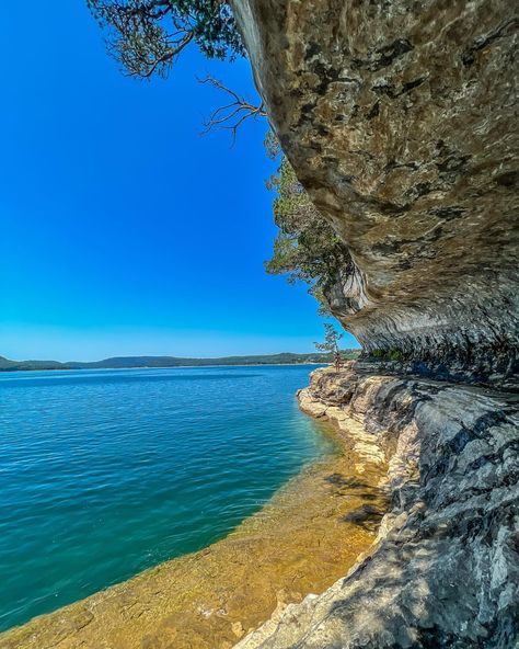 just an untamed wildflower dump 🫶🏻🪷 Beaver Lake Bluffs ~ Arkansas Vibez Beaver Lake Arkansas, The Best Is Yet To Come, Business Travel, Best Memories, Arkansas, More Photos, Engagement Shoots, Family Travel, Wild Flowers