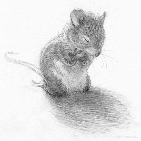 Animals Sketch, Rhino Art, Mouse Sketch, Mouse Drawing, Storybook Art, Heart Sketch, Cat Sketch, Graphic Novel Art, Cute Rats