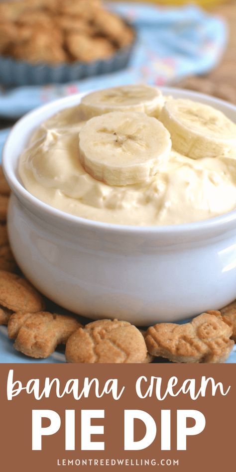 Easy Banana Cream Pie Dip makes a simple, delicious snack that's perfect for kids. Serve it with graham crackers or vanilla wafers for a fun flavor combination that everyone will LOVE! Pudding Dip, Banana Pudding Dip, Graham Cracker Dip, Easy Banana Cream Pie, Banana Dip, Cracker Dip, Pie Dip, Banana Pie, Jello Desserts