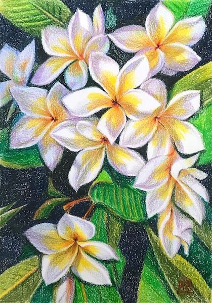 Pastel Colour Drawing Ideas, Pencil Colour Drawing Flower, Pencil Colour Painting, Realistic Flower Drawing, Colored Pencil Artwork Ideas, Colored Pencil Art Projects, Sharpie Drawings, Color Pencil Illustration, Colored Pencil Artwork