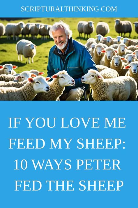 If You Love Me Feed My Sheep: 10 Ways Peter Fed The Sheep Feed My Sheep, Pray Without Ceasing, Bible Love, Message Of Hope, Trials And Tribulations, You Love Me, The Sheep, Positive Outlook, If You Love