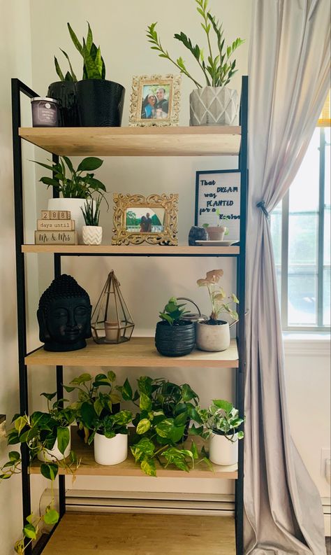 Bookcase Styling Plants, Shelf For Dinning Room, Standing Shelves Decor, Plant Decor Bookshelf, Bookshelf Decor With Plants, Plant Shelf In Living Room, Book Shelves With Plants, Plant Bookshelf Indoor, Dining Room No Table Ideas