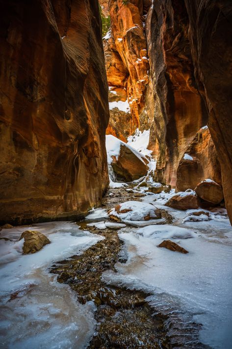 Kolob Canyon, Utah Winter, Slot Canyons, Zion Canyon, Cedar City, Utah Travel, Winter Family, Canyon Road, Fall Hiking