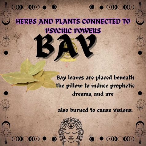 Herbs and Plants for Psychic Powers 🌿🔮 🌟 **Unlock your intuition and enhance your psychic abilities with the magic of herbs and plants!** 🌱✨ Here are some powerful botanicals to help you on your spiritual journey: 1. **Mugwort**: The ultimate ally for dreamwork and divination! This herb amplifies psychic abilities and opens the third eye. 🌙💤 2. **Lavender**: Known for its calming properties, lavender promotes serenity and insight, making it easier to connect with your intuition. 💜🌼 3. **B... Psychic Herbs, Herb Magick, Herbs And Plants, Psychic Development, Psychic Powers, Psychic Abilities, Spiritual Journey, Third Eye, Psychic