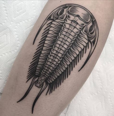 Trilobite Tattoo, Fossil Art, Rat Tattoo, Brain Tattoo, Anatomical Heart Tattoo, History Tattoos, E Tattoo, Time Tattoos, Black Ink Tattoos