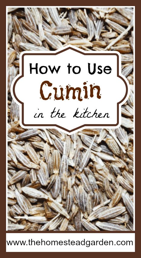 How to Use Cumin in the Kitchen Farm Pantry, Cumin Recipes, Cumin Spice, Dinner Board, Kitchen Secrets, Easy Stuffed Peppers, Moroccan Recipes, Organic Agriculture, Growing Ginger