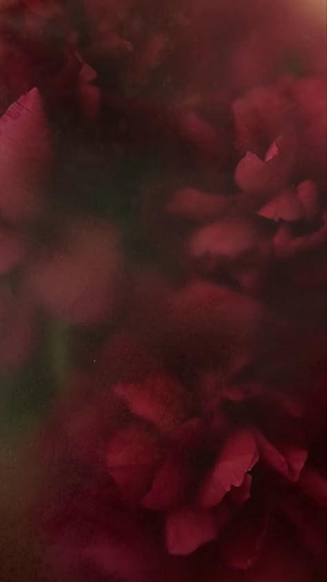 Background Flowers, Dark Red Wallpaper, Floral Wallpaper Iphone, Flowers Background, Simple Phone Wallpapers, Phone Wallpaper Patterns, Minimalist Wallpaper, Red Wallpaper, Pretty Wallpapers Backgrounds