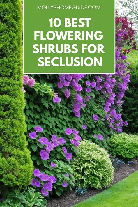 Discover the best flowering shrubs for privacy! Create a lush and vibrant hedge with our top picks of evergreen shrubs with flowers. Whether you're looking for fast-growing options or gorgeous flowering varieties, we have ideas for every garden. Find the perfect bushes for hedges that thrive in full sun or partial shade. Enhance your landscape with tall and narrow screening shrubs that provide privacy and beauty. Trees And Bushes For Privacy, Mock Orange Bush Landscape, Landscape Privacy Screen, Narrow Privacy Landscaping, Tree Privacy Landscaping, Tall Hedges For Privacy, Hedge Plants Landscaping Ideas, Small Shrubs For Landscaping, Tall Plants For Privacy