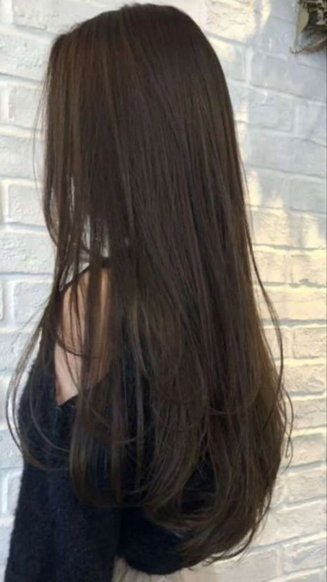 Brown Hair Inspo, Haircuts Straight Hair, Hair Stylist Life, Haircuts For Long Hair, Hair Inspo Color, Silky Hair, Dream Hair, Long Hair Cuts, Aesthetic Hair