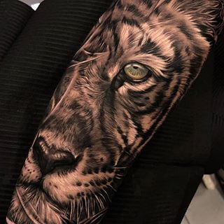 Tattoo Inspiration (@tattooinspouk) • Instagram photos and videos Tattoo Ideas Lion, Tiger Forearm Tattoo, Dogs Tattoo Ideas, Tiger And Lion, Tiger Face Tattoo, Tattoo Ideas For Guys, Jungle Tattoo, Dogs Tattoo, Tiger Tattoo Sleeve