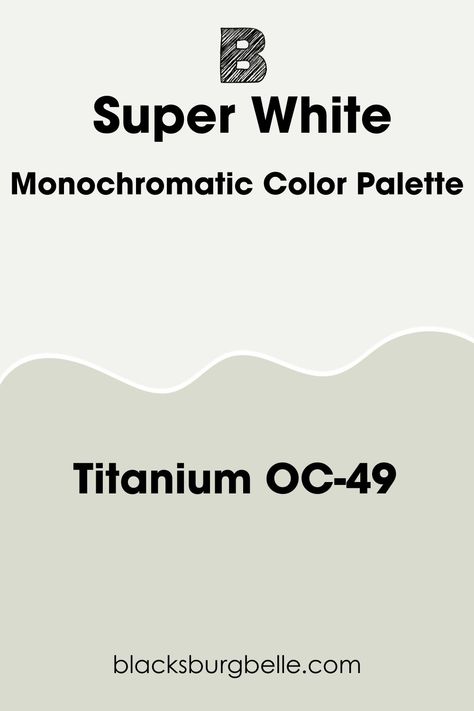 Benjamin Moore Titanium OC-49: Titanium is a bright gray with lovely green and blue undertones. Most time, the paint color looks cozy with strong green tones. It has a lower LRV of 68.41, which gives a monochromatic look when you pair the paint color with Super White. Titanium Benjamin Moore, Benjamin Moore Titanium, Benjamin Moore Horizon, Benjamin Moore Super White, Hale Navy Benjamin Moore, Sherwin Williams Extra White, Hale Navy, Benjamin Moore White, Monochromatic Color Palette