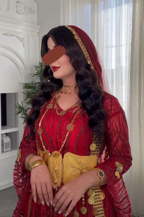 Red Kurdish Dress, Jle Kurde, Event Dresses Classy, Culture Dress, Kurdish Dress, Henna Night, Lion Pictures, Dresses Classy, Classy Photography