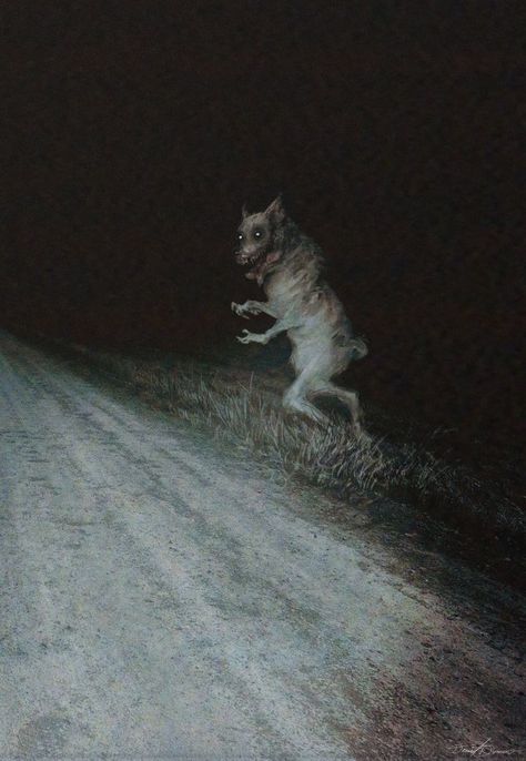 Creepy Forest Creatures, Ps2 Horror Aesthetic, Chupacabra Real, Eldridge Horror, Cryptid Photos, Memes Birthday Funny, Existential Horror, Beast Of Bray Road, Unsettling Aesthetic