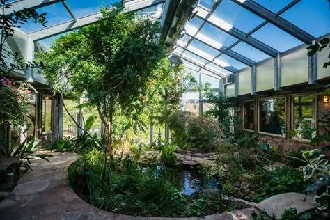 Indoor Pond Greenhouse, Conservatory With Pond, Greenhouse Pond Ideas, Green House Pond, Green House With Pond Inside, Koi Pond In Greenhouse, Koi Pond Indoor, Greenhouse Koi Pond, Pond In Greenhouse