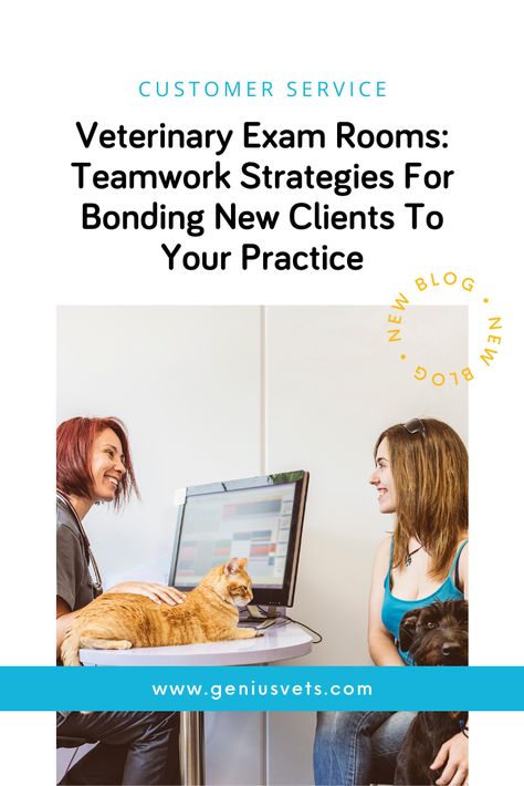 Learn the five things you and your staff can do to bond clients to your practice, because when clients are bonded, they are more likely to refer you to others and provide glowing reviews. #geniusvets #veterinarymarketing #customerservice #vetmed https://www.geniusvets.com/veterinary-marketing/blog/veterinary-exam-rooms-teamwork-strategies-bonding-new-clients-your Veterinary Management, Veterinary Marketing, Excited Dog, Vet Clinic, History Taking, Client Service, Vet Med, Practice Management, Vet Clinics