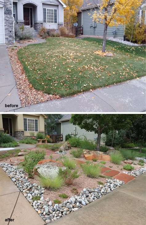 Grass Front Yard, Creating Curb Appeal, Colorado Plants, Front Yard Landscape Design, Colorado Landscaping, Xeriscape Front Yard, Xeriscape Landscaping, Front Yard Landscape, Front Yards Curb Appeal