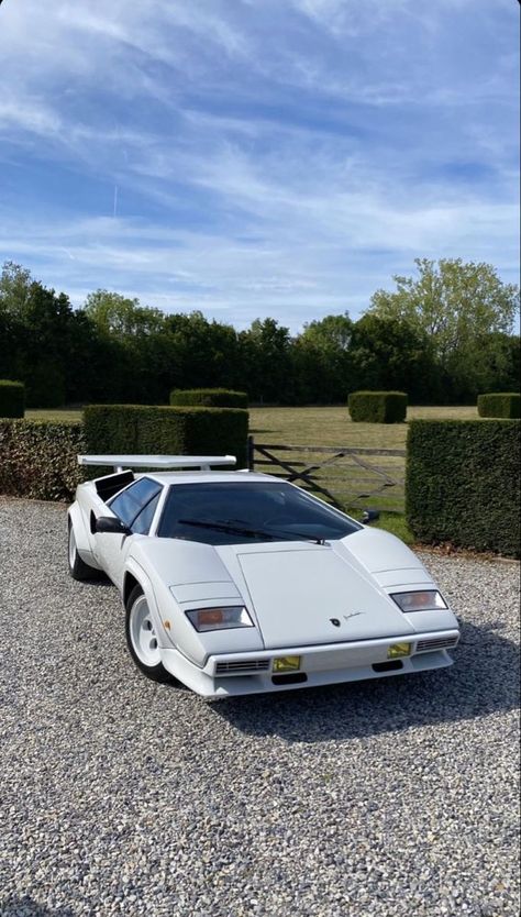 VINTAGE CARS 80s Sports Cars, Old Lamborghini, Loud Cars, 80s Sports, Lamborghini Countach, Ferrari F40, Street Racing Cars, Classy Cars, Fancy Cars