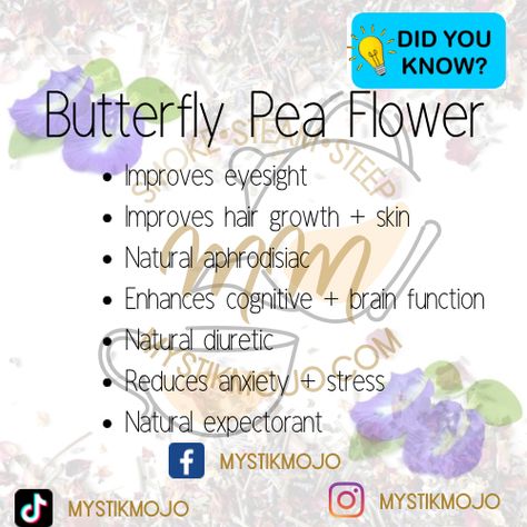 Benefits Of Butterfly Pea Flower, Herbs To Improve Eyesight, Butterfly Pea Benefits, Butterfly Pea Magical Properties, Butterfly Pea Flower Magical Properties, Butterfly Pea Tea Benefits, Herbs For Eyesight, Butterfly Pea Flower Tea Benefits, Pinkeye Remedies