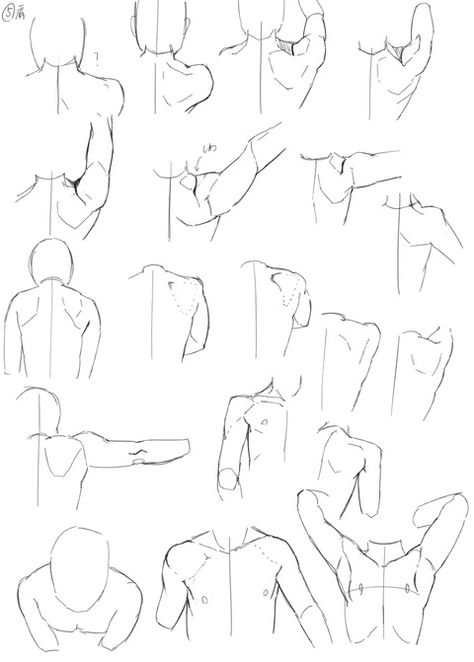 Drawing help/reference- shoulders and shoulder blades Hand On Shoulder Drawing Reference, Hand On Shoulder Drawing, Shoulder Drawing Reference, Shoulder Drawing, Hand On Shoulder, Back Drawing, Draw Hands, Manga Tutorial, Human Drawing